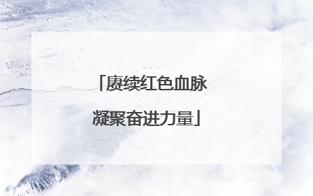赓续红色血脉 凝聚奋进力量