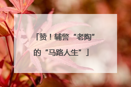 赞！辅警“老陶”的“马路人生”