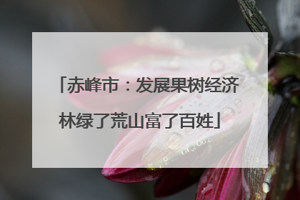 赤峰市：发展果树经济林绿了荒山富了百姓