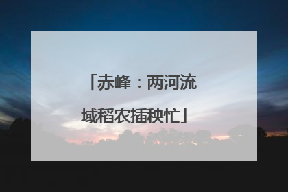 赤峰：两河流域稻农插秧忙
