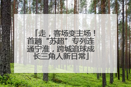 走，客场变主场！首趟“苏超”专列连通宁淮，跨城追球成长三角人新日常