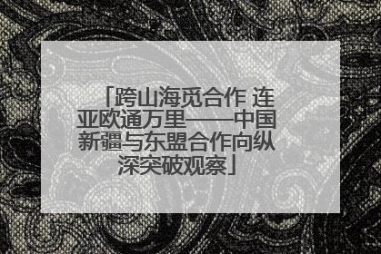 跨山海觅合作 连亚欧通万里——中国新疆与东盟合作向纵深突破观察