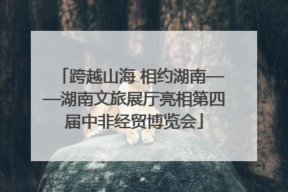 跨越山海 相约湖南——湖南文旅展厅亮相第四届中非经贸博览会