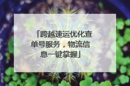 跨越速运优化查单号服务，物流信息一键掌握