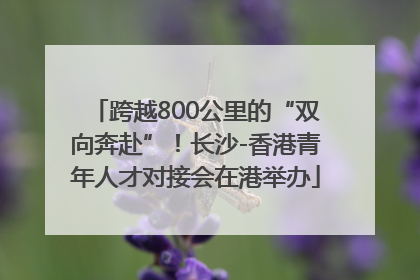 跨越800公里的“双向奔赴”！长沙-香港青年人才对接会在港举办