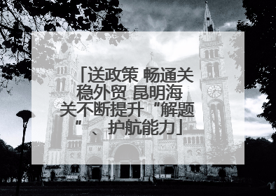 送政策 畅通关 稳外贸 昆明海关不断提升“解题”、护航能力