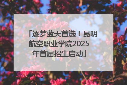逐梦蓝天首选！昆明航空职业学院2025年首届招生启动