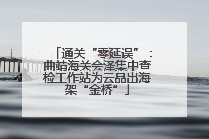 通关“零延误”：曲靖海关会泽集中查检工作站为云品出海架“金桥”