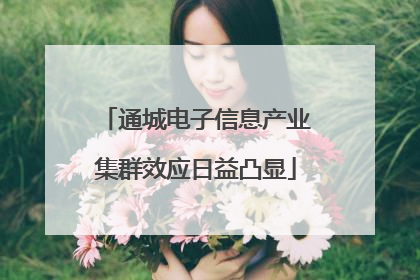 通城电子信息产业集群效应日益凸显