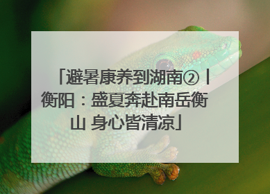 避暑康养到湖南②丨衡阳：盛夏奔赴南岳衡山 身心皆清凉