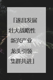 遂昌发展壮大战略性新兴产业 龙头引领 集群共进