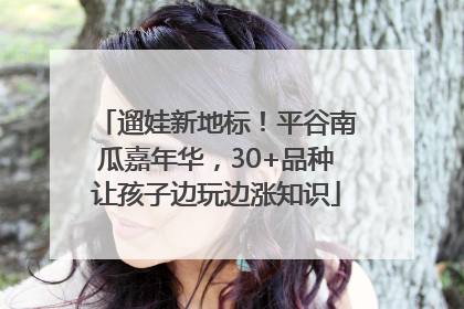 遛娃新地标！平谷南瓜嘉年华，30+品种让孩子边玩边涨知识
