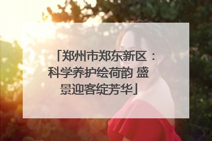 郑州市郑东新区：科学养护绘荷韵 盛景迎客绽芳华