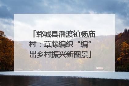 郓城县潘渡镇杨庙村：草藤编织“编”出乡村振兴新图景