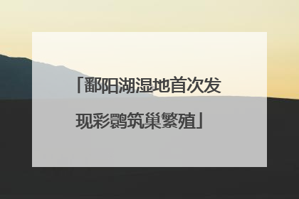 鄱阳湖湿地首次发现彩鹮筑巢繁殖