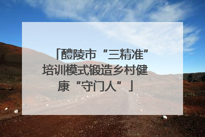 醴陵市“三精准”培训模式锻造乡村健康“守门人”