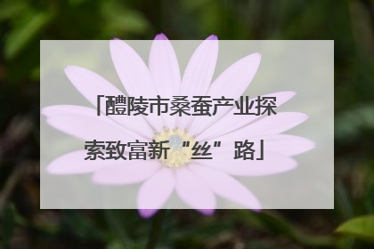 醴陵市桑蚕产业探索致富新“丝”路