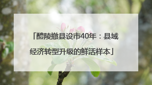 醴陵撤县设市40年：县域经济转型升级的鲜活样本