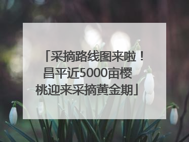 采摘路线图来啦！昌平近5000亩樱桃迎来采摘黄金期
