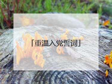 重温入党誓词