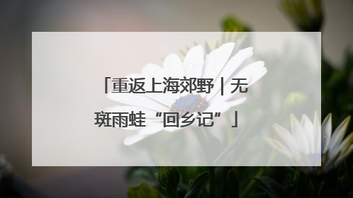 重返上海郊野｜无斑雨蛙“回乡记”