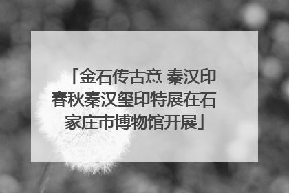 金石传古意 秦汉印春秋秦汉玺印特展在石家庄市博物馆开展