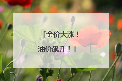 金价大涨！油价飙升！
