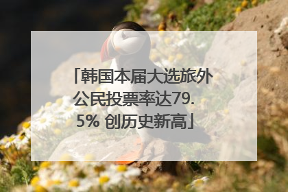 韩国本届大选旅外公民投票率达79.5% 创历史新高
