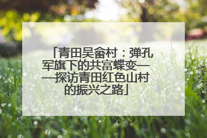 青田吴畲村：弹孔军旗下的共富蝶变——探访青田红色山村的振兴之路