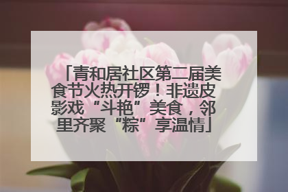 青和居社区第二届美食节火热开锣！非遗皮影戏“斗艳”美食，邻里齐聚“粽”享温情