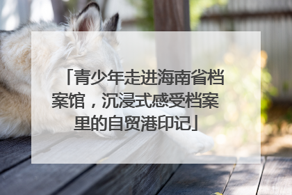 青少年走进海南省档案馆，沉浸式感受档案里的自贸港印记