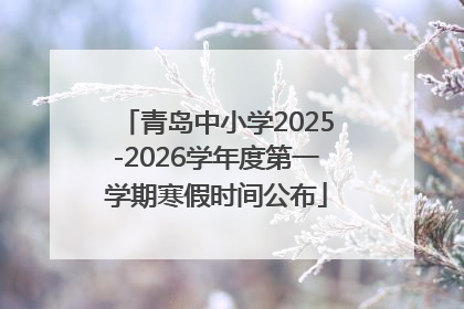 青岛中小学2025-2026学年度第一学期寒假时间公布
