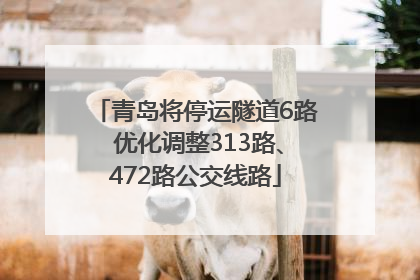 青岛将停运隧道6路 优化调整313路、472路公交线路