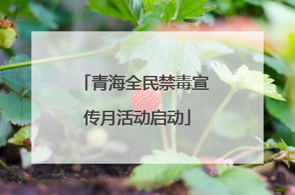 青海全民禁毒宣传月活动启动