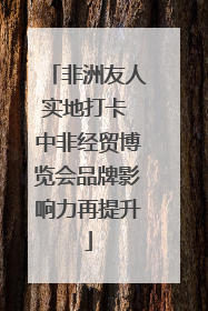 非洲友人实地打卡 中非经贸博览会品牌影响力再提升