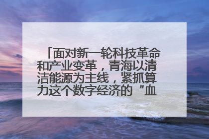 面对新一轮科技革命和产业变革，青海以清洁能源为主线，紧抓算力这个数字经济的“血液”、科技主权的“筹码”、产业升级的“杠杆”、绿色转型的“支点”，勇于撬动国家“双碳”战略、“东数西算”工程重大发展新机遇