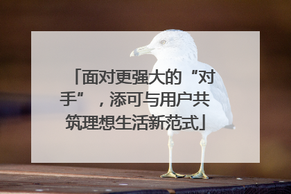 面对更强大的“对手”，添可与用户共筑理想生活新范式