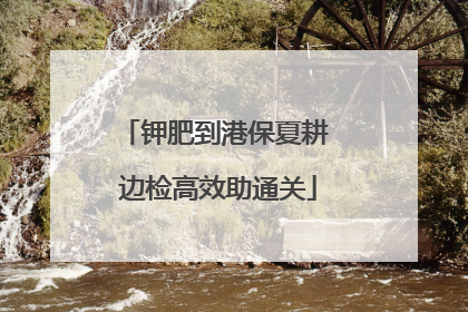钾肥到港保夏耕 边检高效助通关