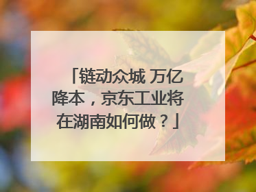 链动众城 万亿降本，京东工业将在湖南如何做？