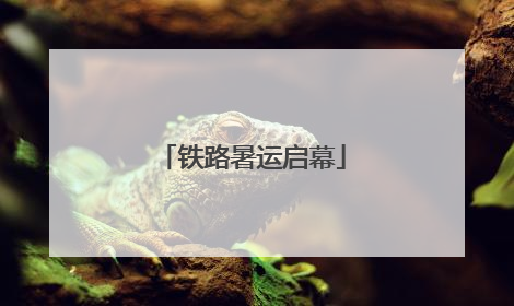 铁路暑运启幕