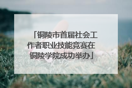 铜陵市首届社会工作者职业技能竞赛在铜陵学院成功举办