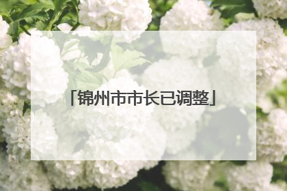锦州市市长已调整