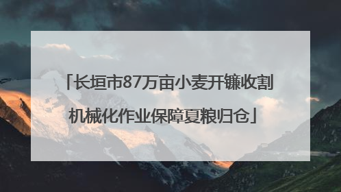 长垣市87万亩小麦开镰收割 机械化作业保障夏粮归仓
