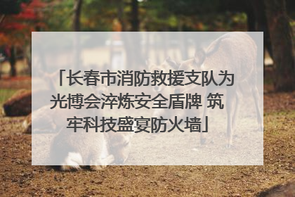 长春市消防救援支队为光博会淬炼安全盾牌 筑牢科技盛宴防火墙