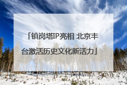 镇岗塔IP亮相 北京丰台激活历史文化新活力
