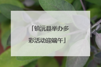 镇沅县举办多彩活动迎端午