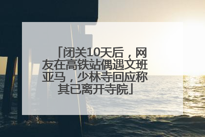闭关10天后，网友在高铁站偶遇文班亚马，少林寺回应称其已离开寺院