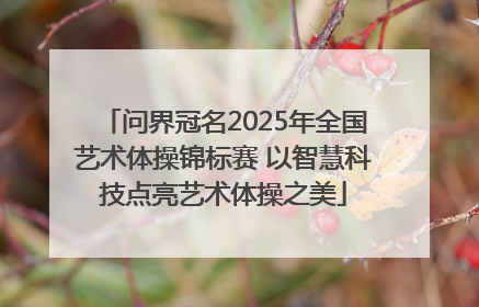 问界冠名2025年全国艺术体操锦标赛 以智慧科技点亮艺术体操之美