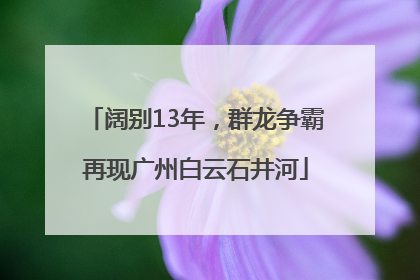 阔别13年，群龙争霸再现广州白云石井河