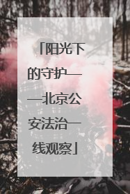阳光下的守护——北京公安法治一线观察